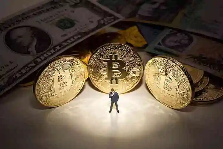 A well-structured mining farm with multiple rigs
