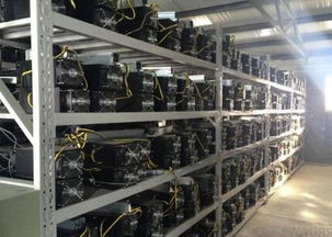 An overview of a modern mining rig setup in a hosted environment, emphasizing efficiency and eco-friendly practices